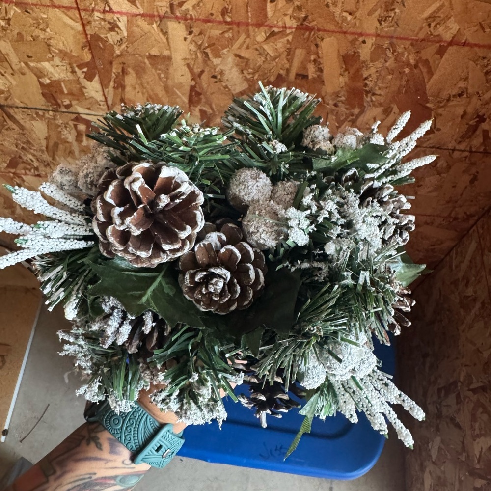 Frosted Pinecone and Greenery Arrangement